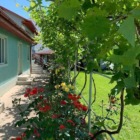 Casa Pestelui Ξενοδοχείο Două Mai Εξωτερικό φωτογραφία