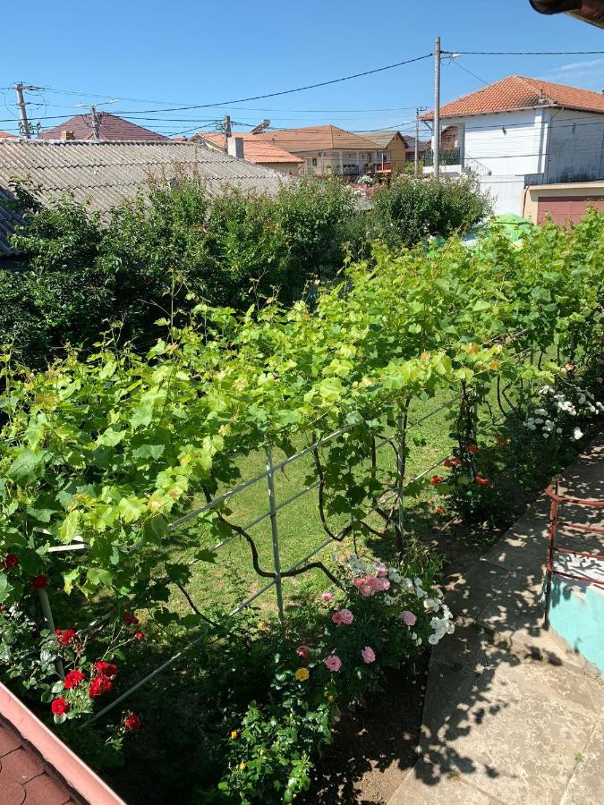 Casa Pestelui Ξενοδοχείο Două Mai Εξωτερικό φωτογραφία
